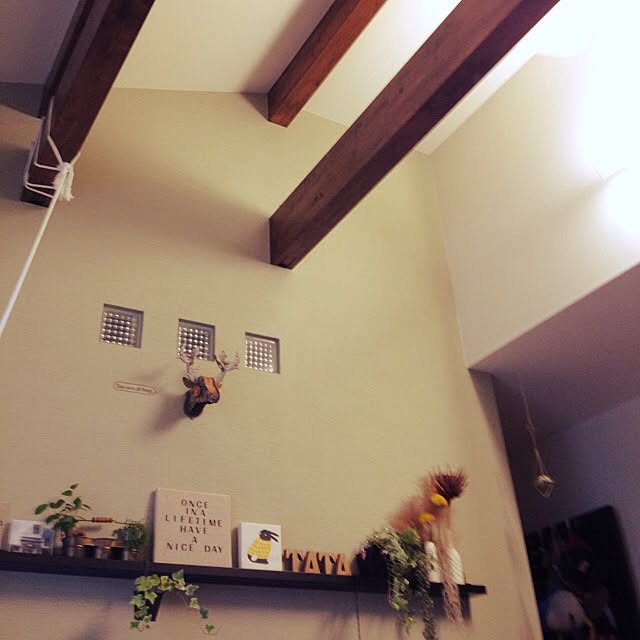 tataさんの実例写真