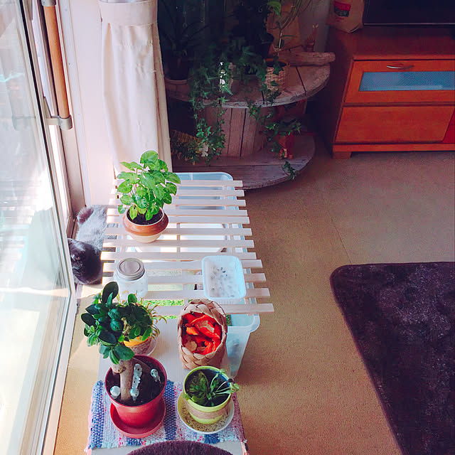 nanaさんの実例写真