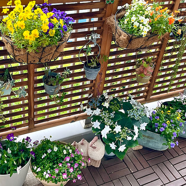 2.11maririnさんの実例写真