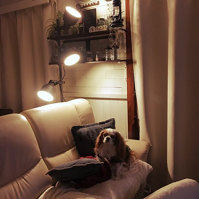 Sumomoaporomamaさんの実例写真