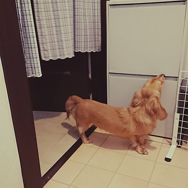 JUNMARIKAさんの実例写真