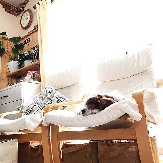 canmilmamaさんの実例写真