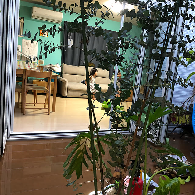 Yukoさんの実例写真
