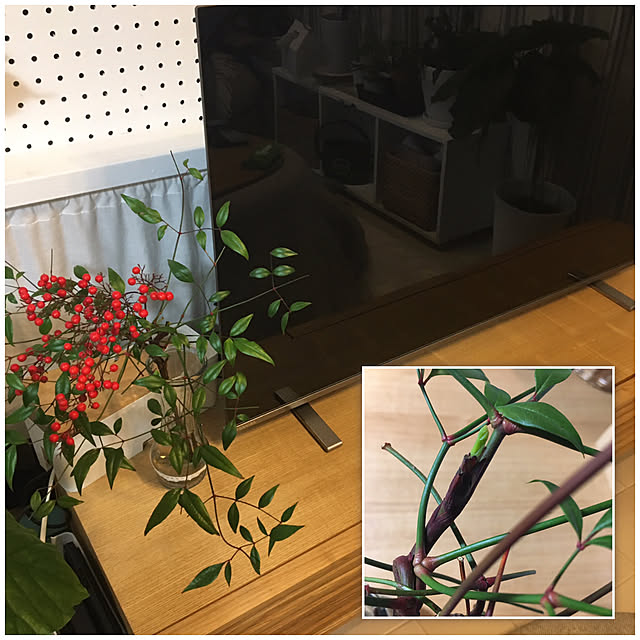 akezouさんの実例写真