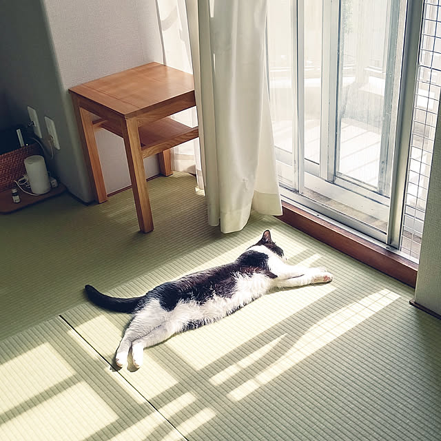 hihaさんの実例写真
