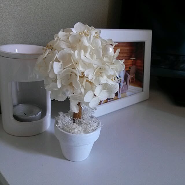 hiromiさんの実例写真