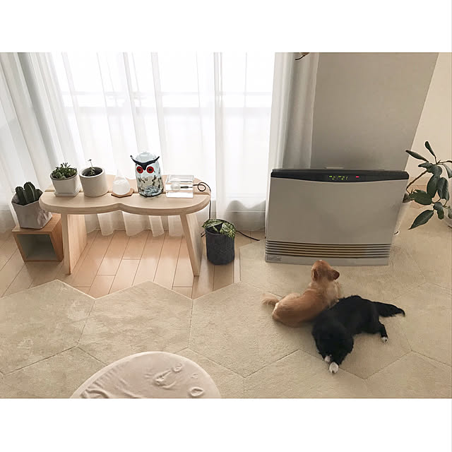 haruhinaさんの実例写真