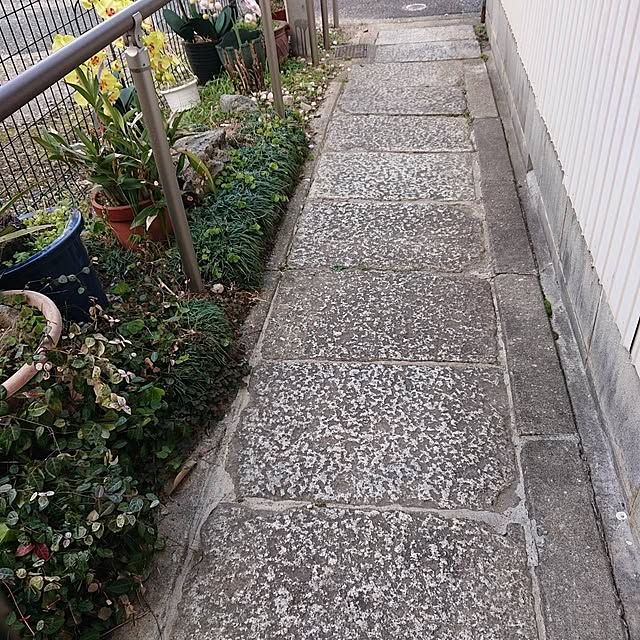 EKさんの実例写真