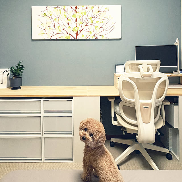 kawauso15さんの部屋