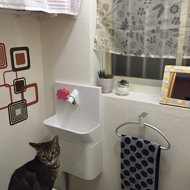 MARON1111さんの実例写真