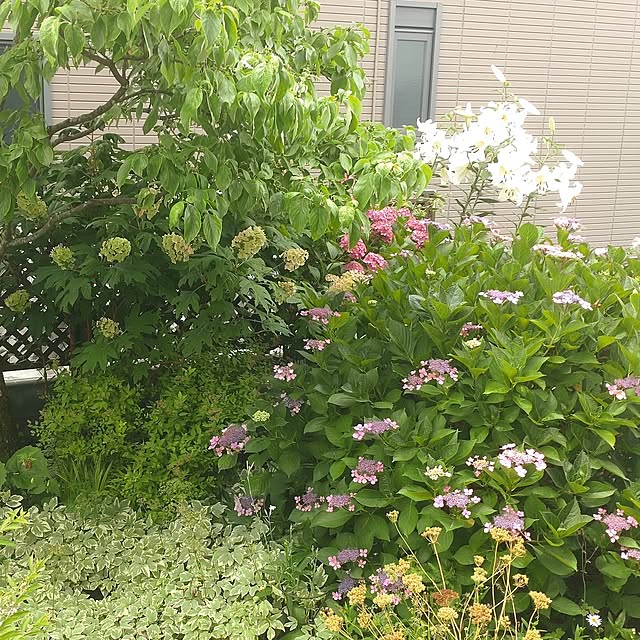 Hujikoさんの部屋