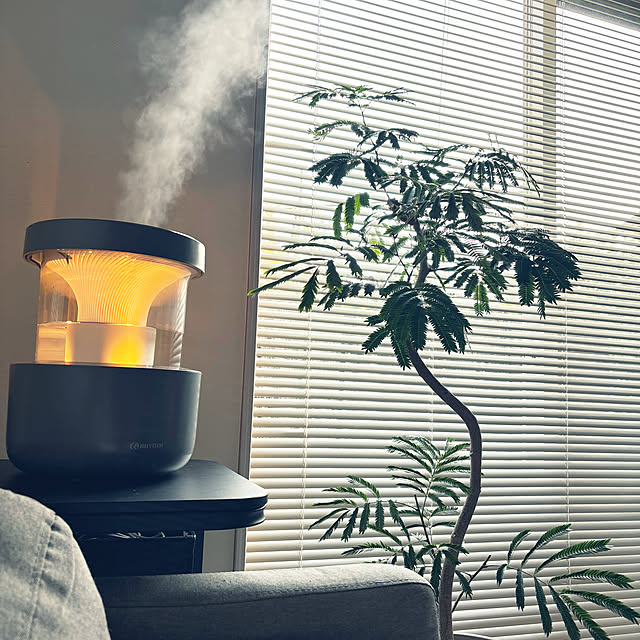 ベッド周り/くらしのリズムを整える/リズムの加湿器/MIST350/観葉植物...などのインテリア実例 - 2024-10-13 16:29:25