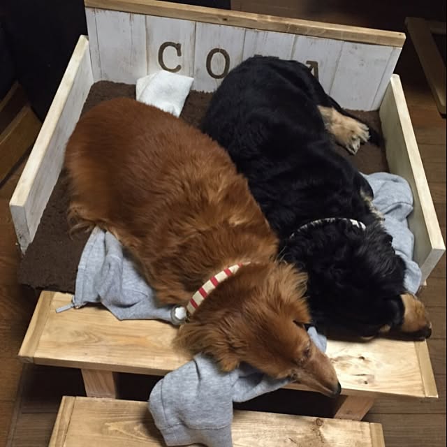 saffyさんの実例写真