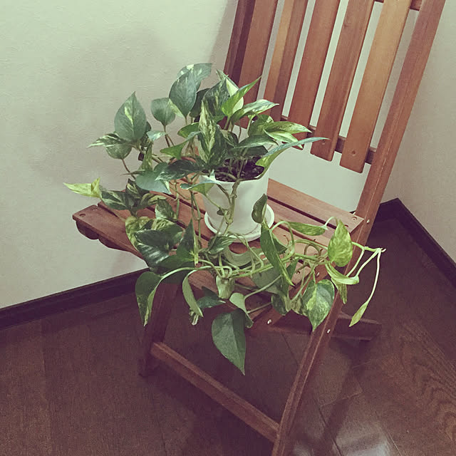 ku-ruru-mamaさんの実例写真