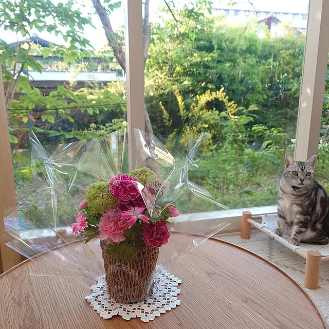 asmaさんの部屋