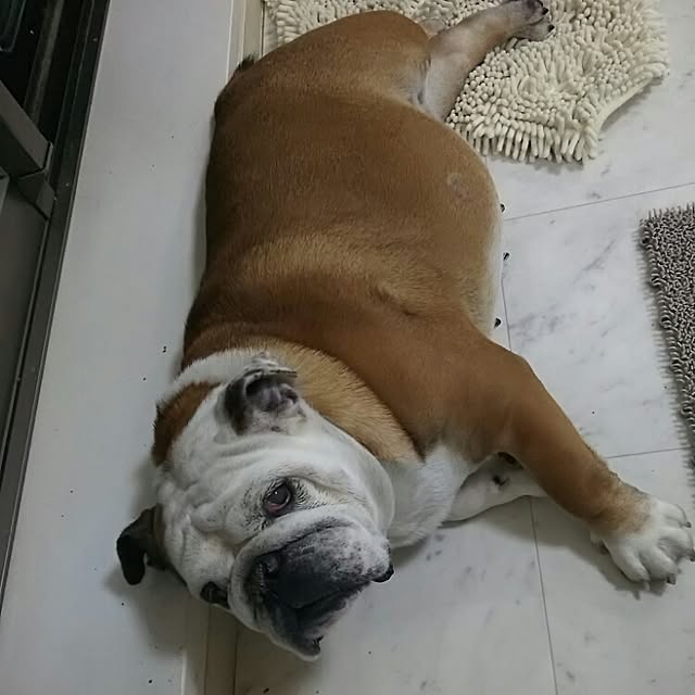 AandPさんの実例写真
