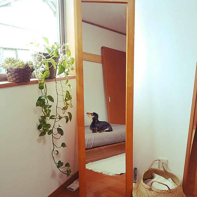 reonさんの実例写真