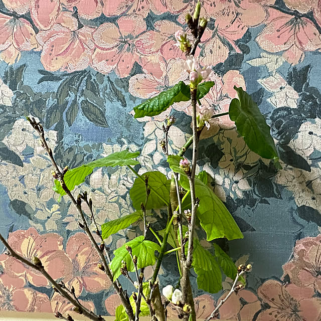 mizucchiさんの部屋