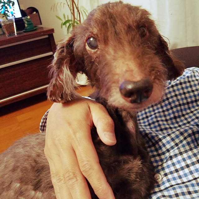 mimi828さんの実例写真