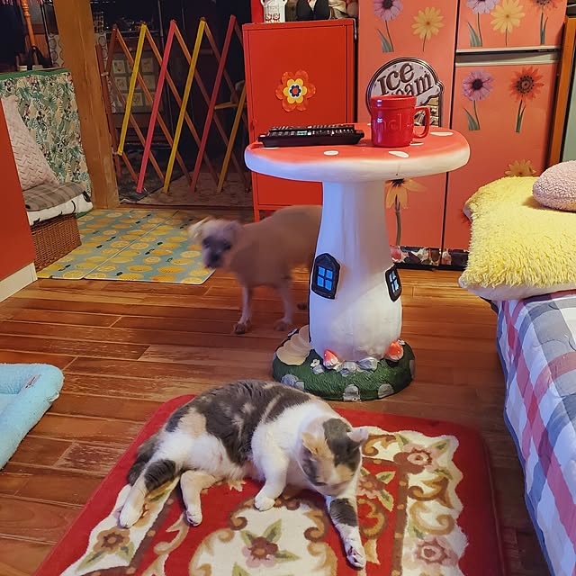 kumutanさんの実例写真