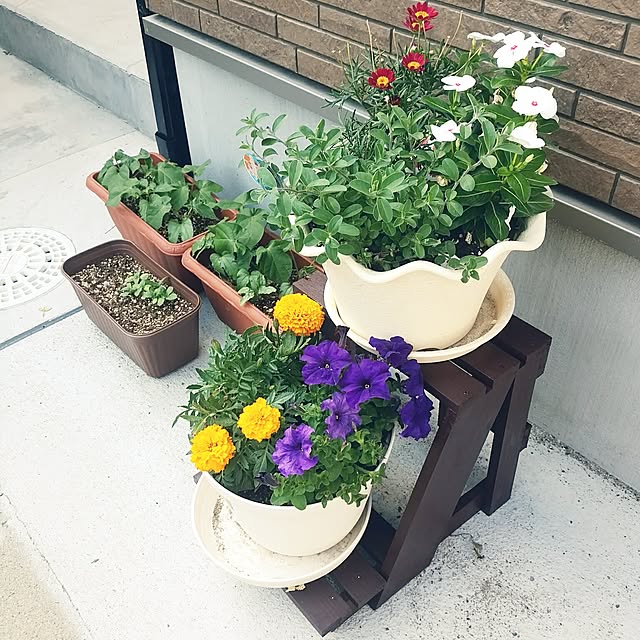 kyukyuさんの実例写真