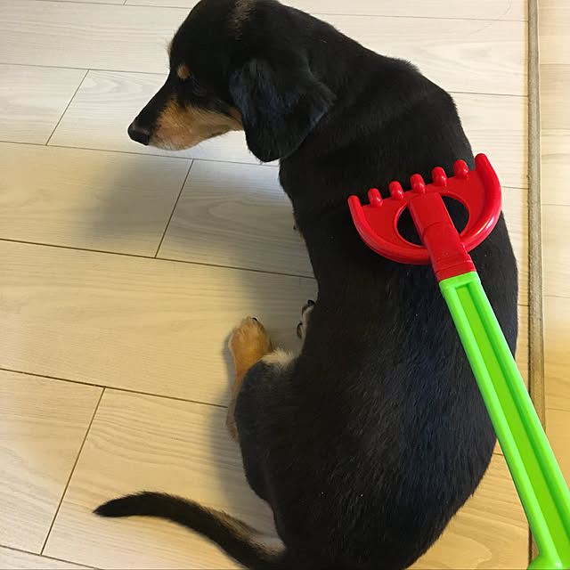 ohanaさんの実例写真