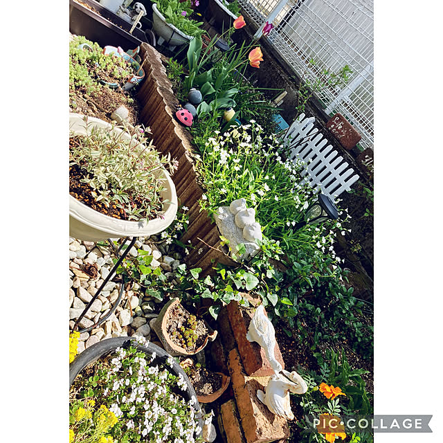 CoCo0617さんの部屋