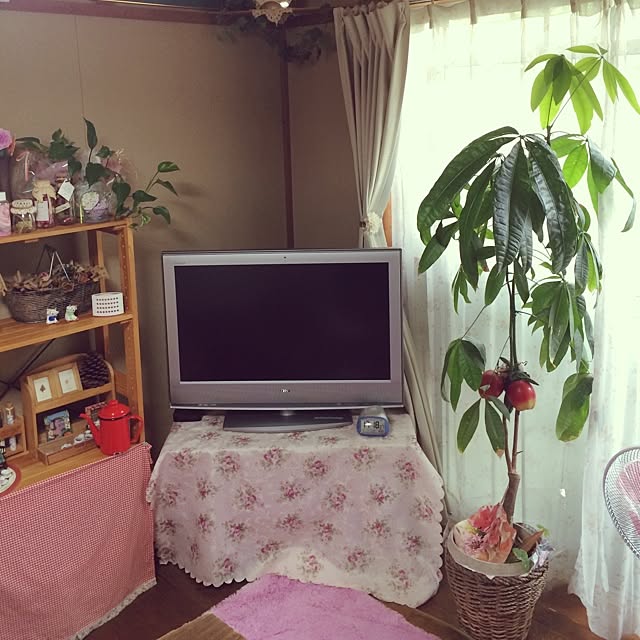 terujiloveさんの実例写真