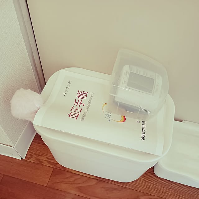 Spicaさんの実例写真
