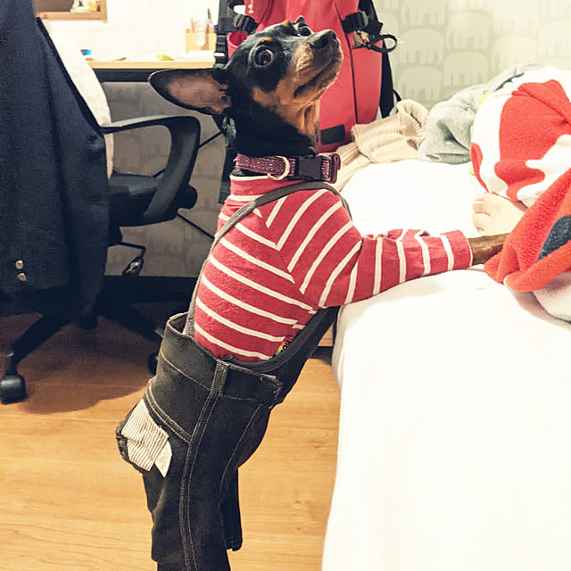 shizuponさんの実例写真