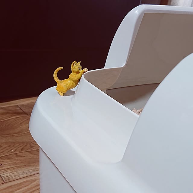 NOAHさんの部屋