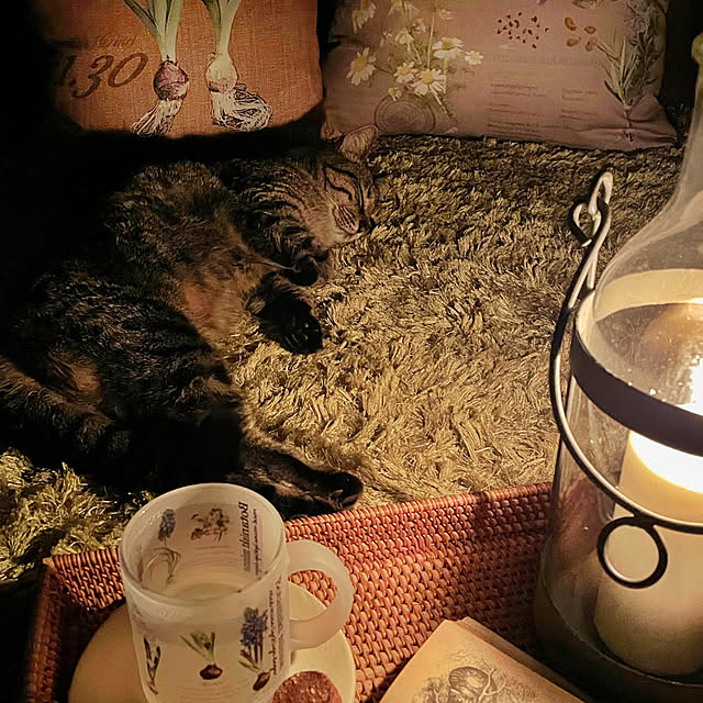 weさんの部屋
