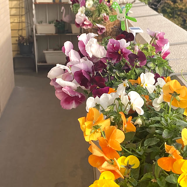 marukoさんの部屋