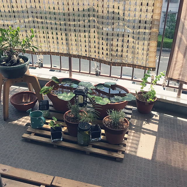 mi-saさんの実例写真