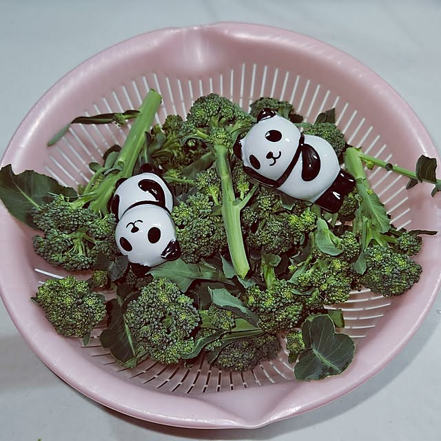 mocomocoさんの部屋