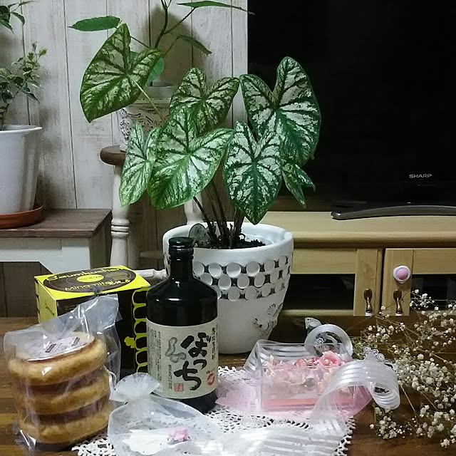 naopyiさんの実例写真