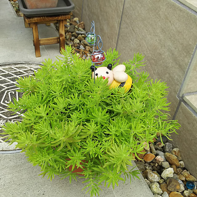 KOHAKUさんの実例写真