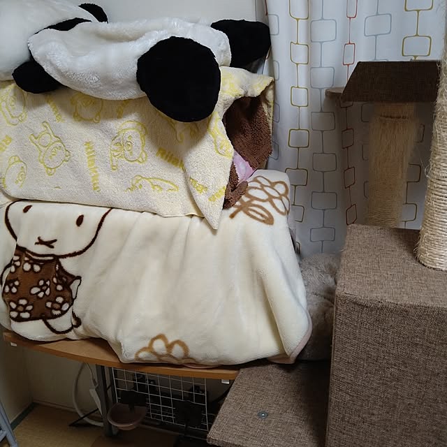 koromaroさんの部屋