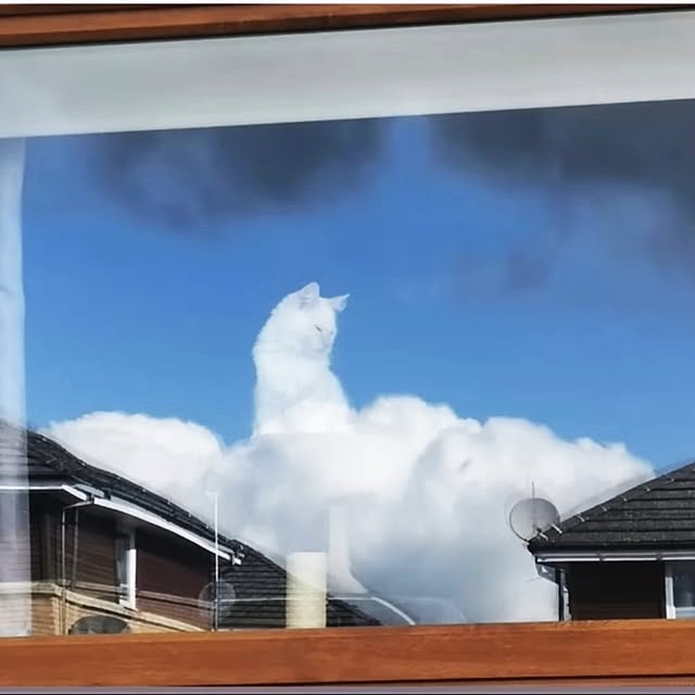 Tackunさんの実例写真