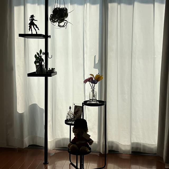 torina_kさんの部屋