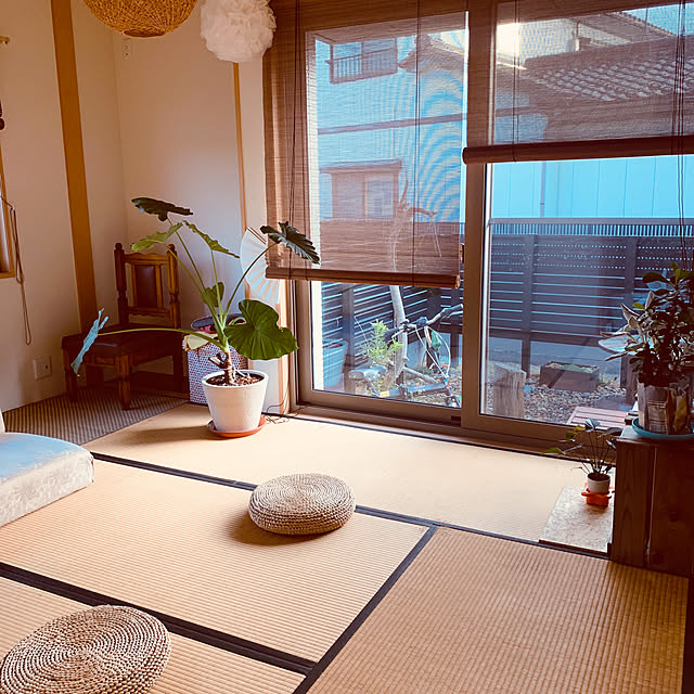 和室/DIY/観葉植物/部屋全体のインテリア実例 - 2019-10-26 07:24:10