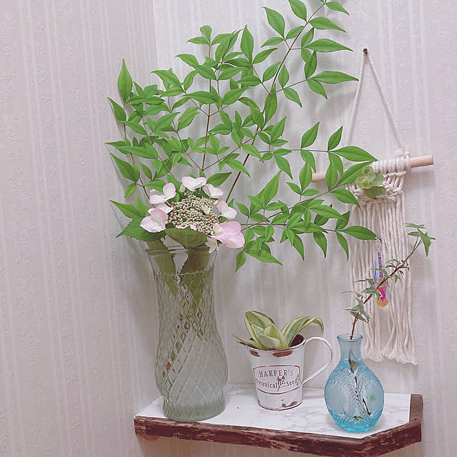 shoさんの実例写真