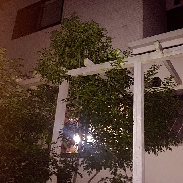 butachanさんの実例写真