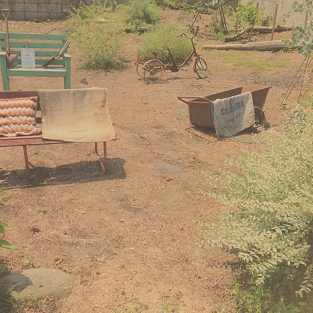 TOROさんの実例写真