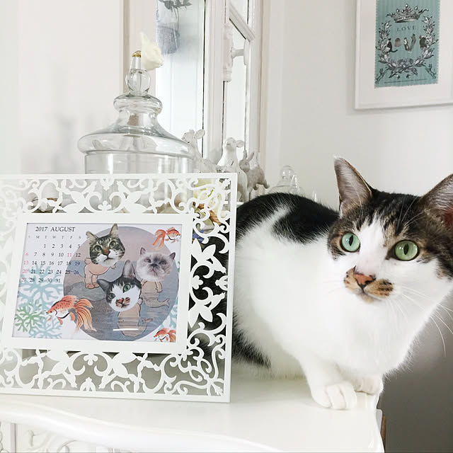 yuchiさんの実例写真