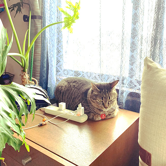 gaacoさんの実例写真