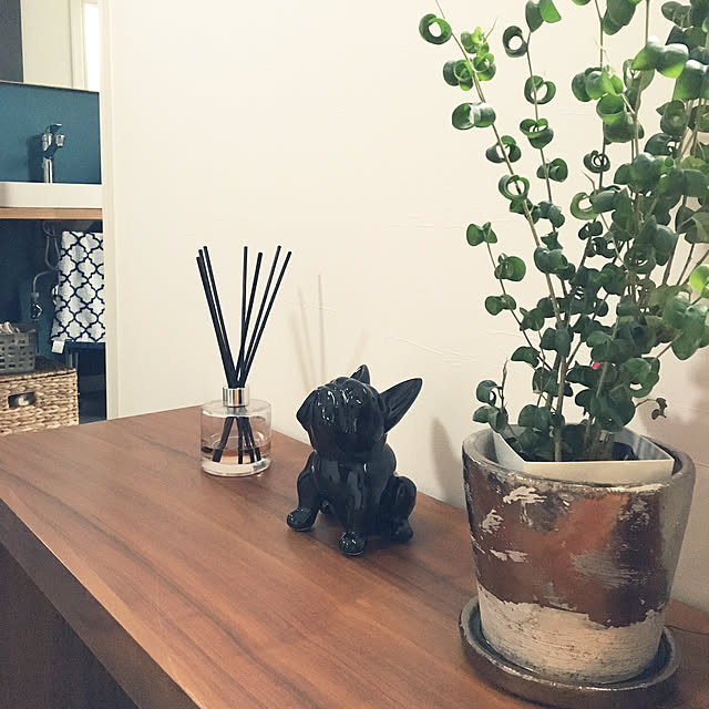 waoukaiさんの実例写真
