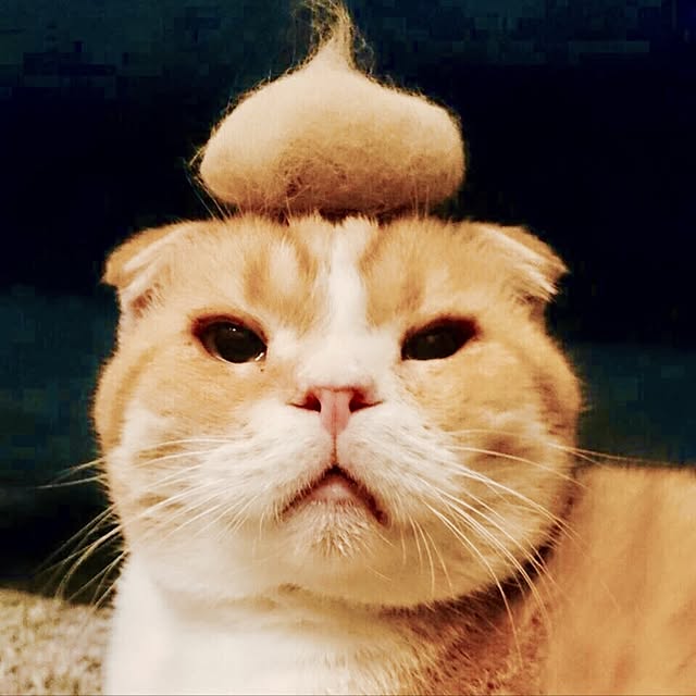pepperさんの実例写真
