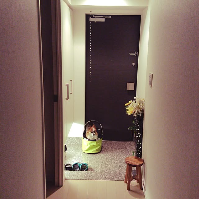 sararinさんの実例写真