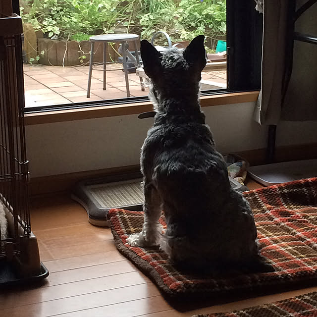 mochaさんの実例写真